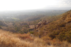 DSCN4842_resize