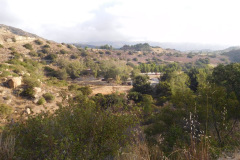 DSCN4850_resize