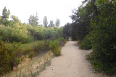 DSCN4698_resize