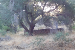 DSCN4702_resize