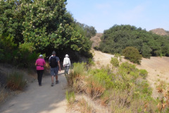 DSCN4718_resize