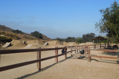 DSCN4720_resize
