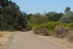 DSCN4721_resize