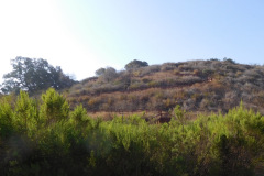DSCN4722_resize