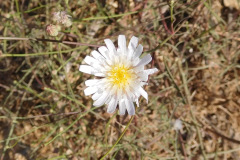 DSCN4724_resize
