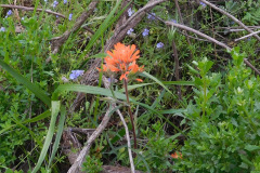 DSCN3879_resize