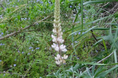 DSCN3880_resize