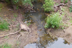 DSCN3883_resize