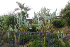 DSCN3894_resize