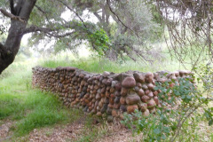 DSCN3895_resize