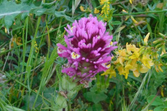DSCN3896_resize