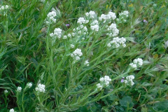 DSCN3898_resize