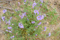 DSCN3899_resize