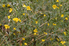 DSCN3908_resize