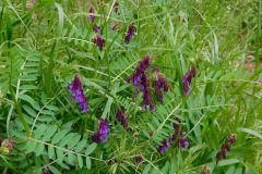 DSCN3909_resize