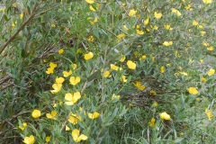 DSCN3914_resize