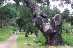 DSCN3915_resize