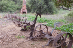 DSCN3918_resize