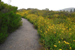 DSCN3925_resize