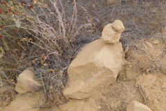 DSCN4866_resize