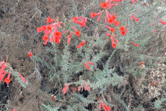 IMG_1405_resize