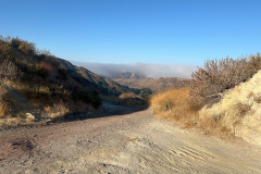 IMG_1406_resize