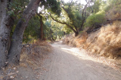 DSCN4953_resize