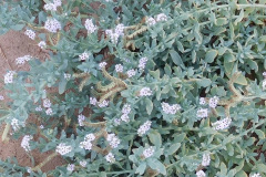 DSCN4960_resize
