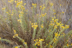 DSCN4962_resize