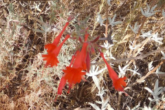 DSCN4963_resize