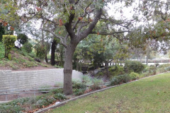 DSCN5117_resize