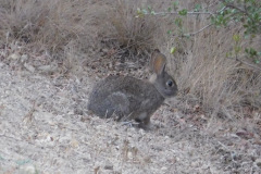 DSCN5127_resize