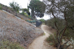 DSCN5128_resize