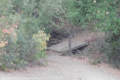 DSCN5130_resize