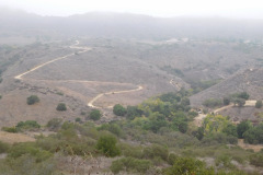 DSCN5134_resize