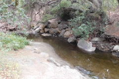 DSCN5139_resize