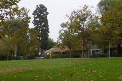 DSCN5142_resize