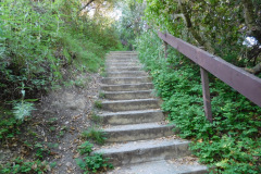 DSCN3783_resize