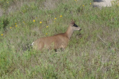 DSCN3792_resize