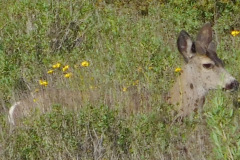 DSCN3793_resize