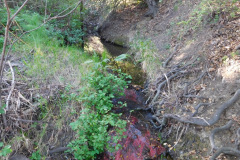 DSCN3795_resize