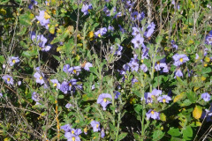 DSCN3800_resize
