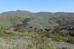 DSCN3801_resize