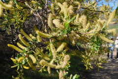 DSCN3804_resize