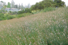 DSCN2289_resize