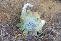 DSCN2296_resize