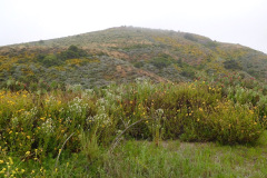 DSCN2301_resize