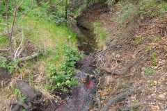 DSCN2303_resize
