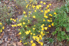 DSCN2305_resize