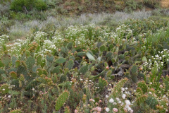 DSCN2307_resize